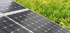 Πάνελς 50 MW θα παράσχει η JinkoSolar σε φ/β της Tenergia