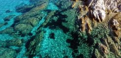 ΥΠΕΝ: Δημοσιεύονται οι ΕΠΜ του Εθνικού Θαλασσίου Πάρκου Ιονίου και του Εθνικού Θαλασσίου Πάρκου Νοτίου Αιγαίου 1 – Νότιες Κυκλάδες