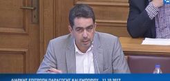 Παρέμβαση του βουλευτή Γ.Θεοφύλακτου στη Βουλή για την Ακρινή και τους Αναργύρους