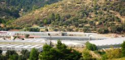 Προδιαγραφές κατασκευής θερμοκηπίων - Όλοι οι τύποι με βάση τη νομοθεσία