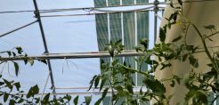 FLEX2ENERGY : Πράσινη ενέργεια από τη Θεσσαλονίκη