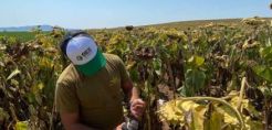 Στρατηγική συνεργασία της G.F. Energy με τον Α.Σ. ΘΕΣγη στα ενεργειακά φυτά