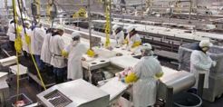 Αύξηση 0,6% στο δείκτη τιμών παραγωγού τον Ιούνιο