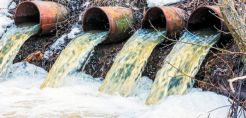 Ευρωκοινοβούλιο: Μείωση της ρύπανσης από τη βιομηχανία και τις μεγάλες κτηνοτροφικές μονάδες