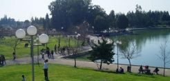Εκδηλώσεις περιβαλλοντικής ευαισθητοποίησης στο πάρκο "Αντώνης Τρίτσης"