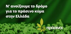 Φόρουμ Πράσινου Διαλόγου και ευρύτερη πράσινη εκλογική συνεργασία, προτείνει το Συνέδριο των Πράσινων