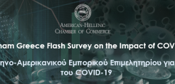 Έρευνα του Ελληνο-Αμερικανικού Εμπορικού Επιμελητηρίου για τις επιπτώσεις του COVID-19