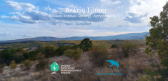 Ροδόπη: 1,3 εκατομμύρια ευρώ το ανταποδοτικό τέλος ΑΠΕ