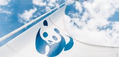 Το καράβι του WWF ξεκινάει το πρώτο ταξίδι του αναδεικνύοντας τις μεγαλύτερες περιβαλλοντικές απειλές της Μεσογείου