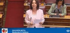 Βέττα: Η προστασία του περιβάλλοντος πρέπει να συμβαδίζει με τον σεβασμό στις ανάγκες των ανθρώπων στις λιγνιτικές περιοχές
