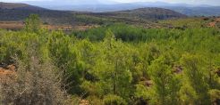 Παραπομπή της Ελλάδας στο Ευρωδικαστήριο για τη βιοποικιλότητα