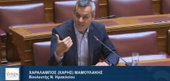 Μαμουλάκης για ν/σ ΑΠΕ: Καθυστερούν στα ουσιαστικά, νομοθετούν προκλητικά