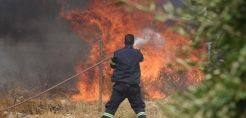 Carbon Tracker by HDB: Το νέο δωρεάν εργαλείο της ΕΑΤ για τον υπολογισμό εκπομπών CO2 στις ΜμΕ