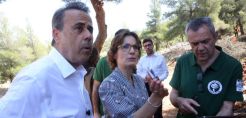 Παπασταύρου: Η Ελλάδα θα εξάγει έως και 8 δισ. κυβικά μέτρα φυσικού αερίου ετησίως