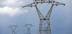 Γερμανία: Αύξηση-ρεκόρ για τις τιμές παραγωγού τον Αύγουστο