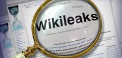 WildLeaks, το «Wikileaks» των οικολογικών εγκλημάτων