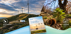 WindEurope: Δύο έργα της Principia στις ευρωπαϊκές καλές πρακτικές για τη βιοποικιλότητα