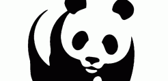 Κατά της υπεραλίευσης των θαλασσών η WWF