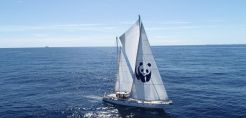 Το ιστιοπλοϊκό σκάφος WWF “Blue Panda” φτάνει στο Ιόνιο