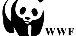 WWF: Η απώλεια της φύσης και η έξαρση των πανδημιών