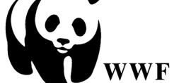 WWF-Greenpeace: Έκκληση να σταματήσει το πρωτοφανές περιβαλλοντικό έγκλημα που προωθείται από το ΥΠΕΝ μέσω του νέου νομοσχεδίου που κατατέθηκε στη Βουλή