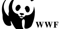 Συνεργασία Kenzo - WWF για την προστασία των τίγρεων