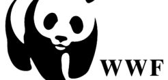Πυρκαγιές: Οι προτάσεις της WWF Ελλάς για την επόμενη ημέρα