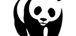 WWF: Δημοσκόπηση για ΑΠΕ- 81% των Ελλήνων ζητά μέτρα για την αντιμετώπιση της κλιματικής κρίσης
