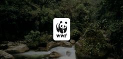 Η WWF αναζητάει υποψήφιο για την θέση του υπεύθυνου πολιτικής για την ενέργεια και την κλιματική αλλαγή