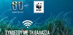 Θέση εργασίας στη WWF - Ολόκληρη η προκήρυξη 