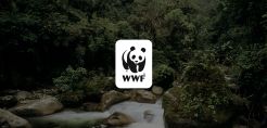 WWF: Επιστολή προς τον Πρωθυπουργό για εθνική κλιματική πολιτική  ενόψει της COP26