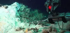 [node:title]