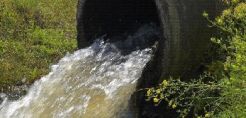 Σύλληψη 2 ατόμων για τη μόλυνση στην Αλίαρτο