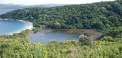 Εσπερίδα για το πρόγραμμα του WWF για τη σημασία της προστασίας των νησιωτικών υγροτόπων