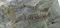 Δόθηκε η άδεια εκμετάλλευσης ελληνικού ζεόλιθου