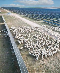Lightsource bp: Ηγετική θέση στις παγκόσμιες αγορές πράσινης ενέργειας