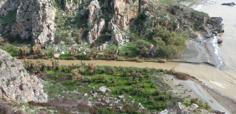 ΥΠΕΚΑ: Αναγέννηση στο φοινικόδασος του Πρέβελη 