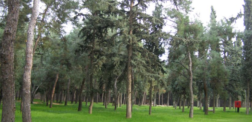 «Πράσινο φως» για την αποκατάσταση του Άλσους Μιμικόπουλου στο Μαρούσι