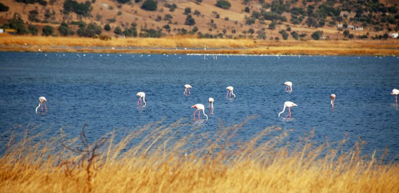 Σε λειτουργία το Κέντρο Περιβαλλοντικής Ενημέρωσης Καλλονής