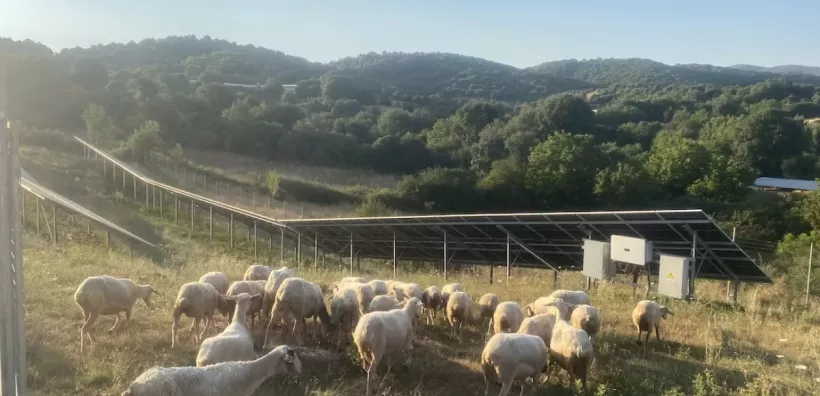 «ΚΟΙΝΕΡΓΕΙΑ»: Αλληλεγγύη, καθαρή ενέργεια και φθηνό ρεύμα