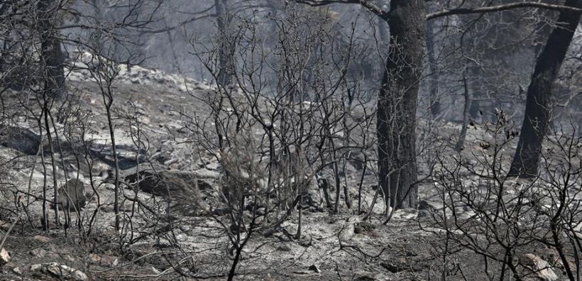 Πώς η κλιματική αλλαγή φέρνει περισσότερες καταστροφές στην Ελλάδα