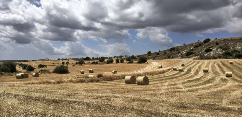 Η ΕΕ «πρασινίζει» τη γεωργία έως το 2030
