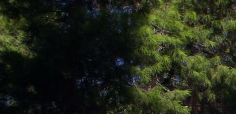Προχωρά κανονικά η Κύπρος στην κατασκευή τερματικού αερίου