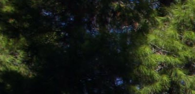 Συνεργασία Γερμανίας - Μαυροβουνίου για τη διαχείριση αστικών λυμάτων