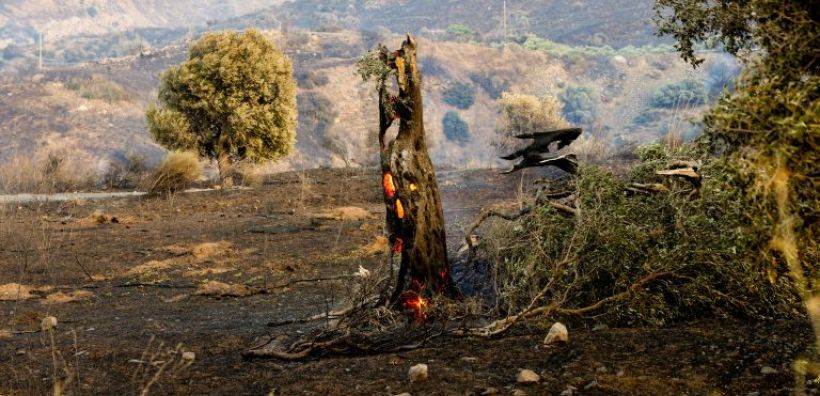 Ρέθυμνο: Συνελήφθη ο υπεύθυνος λειτουργίας δικτύου του ΔΕΔΔΗΕ για τη φωτιά