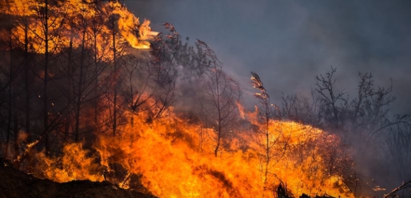 Πολύ υψηλός κίνδυνος για πυρκαγιές αύριο στην Αττική και 8 ακόμα περιφέρειες