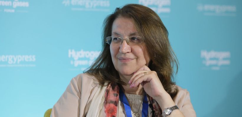 Κ. Καρακίτσου: Τι περιλαμβάνει η πιλοτική μονάδα της ΔΕΠΑ Εμπορίας για την αναβάθμιση του βιοαερίου σε βιομεθάνιο