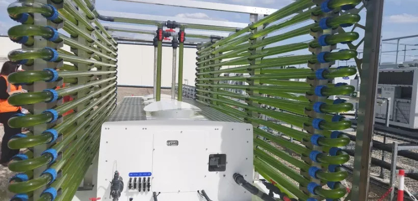 Καινοτόμο έργο μετατροπής θερμότητας από data centers σε βιομάζα από φύκη