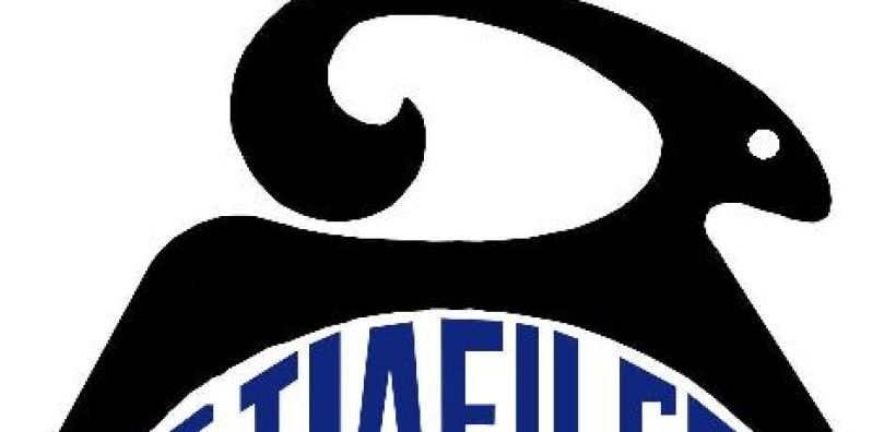 Επίλεκτος: Αγορά 909 κοινών ονομαστικών μετοχών