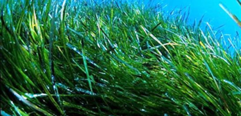 Προσωρινά εκτός λειτουργίας πυρηνικός σταθμός στη Σκωτία